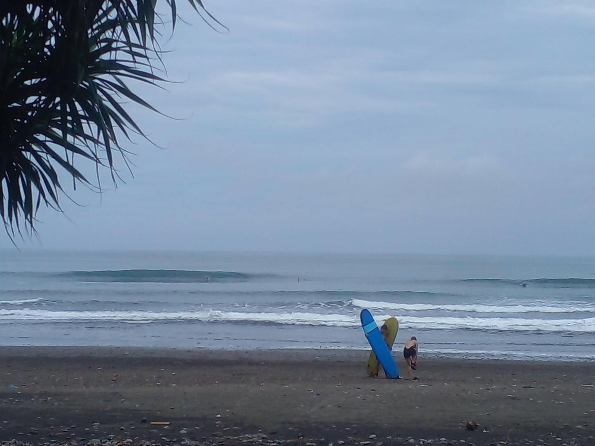 Medewi Good Vibes Stay&Surf Jembrana Dış mekan fotoğraf