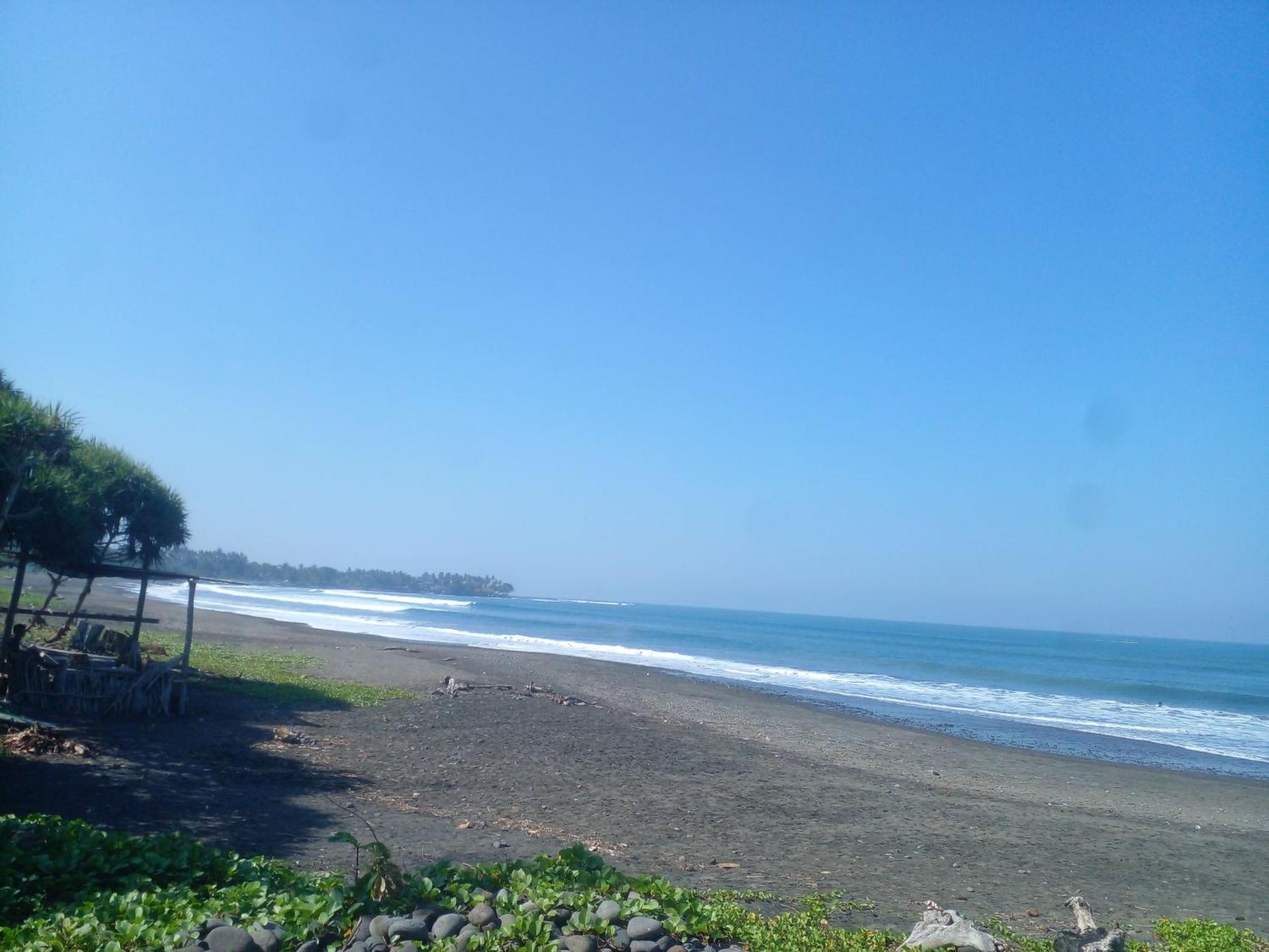 Medewi Good Vibes Stay&Surf Jembrana Dış mekan fotoğraf